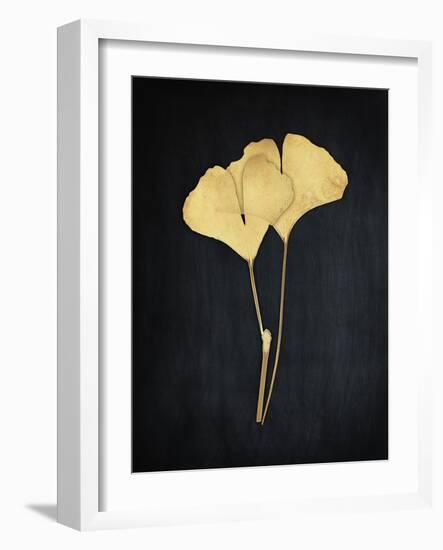 Midas Ginkgo 1-Albert Koetsier-Framed Art Print