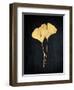 Midas Ginko 1-Marcus Prime-Framed Art Print