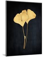 Midas Ginko 1-Marcus Prime-Mounted Art Print