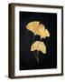 Midas Ginko 2-Marcus Prime-Framed Art Print