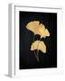 Midas Ginko 2-Marcus Prime-Framed Art Print