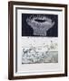 Midcap Pitchies-Tighe O'Donoghue-Framed Limited Edition