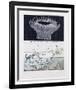 Midcap Pitchies-Tighe O'Donoghue-Framed Limited Edition