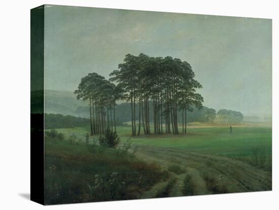 Midday, 1820-25-Caspar David Friedrich-Stretched Canvas