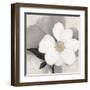 Midday Bloom-Ivo (Lipman)-Framed Art Print