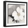 Midday Bloom-Ivo (Lipman)-Framed Art Print