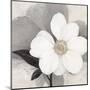 Midday Bloom-Ivo (Lipman)-Mounted Art Print