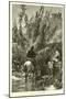 Wood Mount