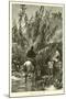 Wood Mount