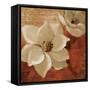 Midday Magnolias I-Lanie Loreth-Framed Stretched Canvas