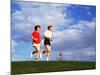 Middle-Aged Couple Jogging Together-Bill Bachmann-Mounted Photographic Print