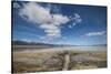 Middle Alkali Lake, California, Hwy 299.-Richard Wright-Stretched Canvas