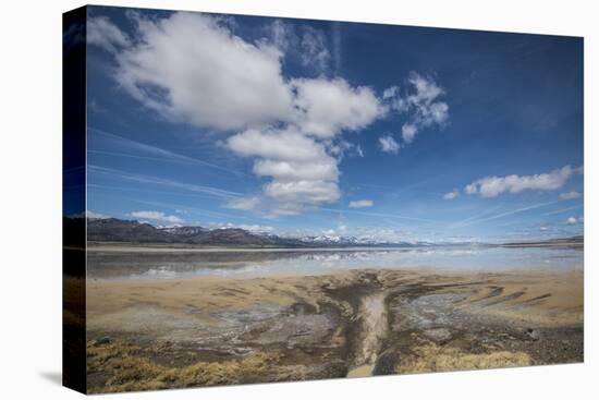 Middle Alkali Lake, California, Hwy 299.-Richard Wright-Stretched Canvas