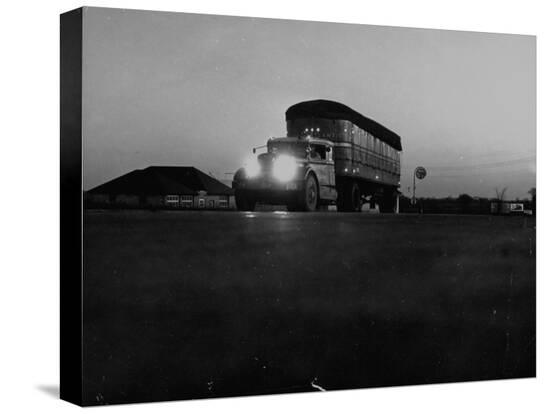 Stretched Canvas Print, , large