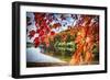 Middle Autumn Dreamscape Lebanon New Jersey-George Oze-Framed Photographic Print