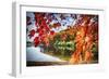 Middle Autumn Dreamscape Lebanon New Jersey-George Oze-Framed Photographic Print