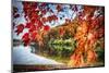 Middle Autumn Dreamscape Lebanon New Jersey-George Oze-Mounted Photographic Print