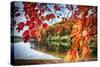 Middle Autumn Dreamscape Lebanon New Jersey-George Oze-Stretched Canvas