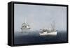 Middle Bay Light-David Knowlton-Framed Stretched Canvas