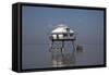 Middle Bay Or Mobile Bay Lighthouse, Mobile Bay, Alabama-Carol Highsmith-Framed Stretched Canvas