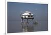 Middle Bay Or Mobile Bay Lighthouse, Mobile Bay, Alabama-Carol Highsmith-Framed Art Print