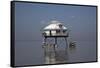 Middle Bay Or Mobile Bay Lighthouse, Mobile Bay, Alabama-Carol Highsmith-Framed Stretched Canvas