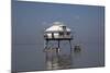 Middle Bay Or Mobile Bay Lighthouse, Mobile Bay, Alabama-Carol Highsmith-Mounted Art Print