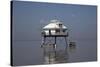 Middle Bay Or Mobile Bay Lighthouse, Mobile Bay, Alabama-Carol Highsmith-Stretched Canvas