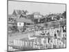 Middle class houses of Birmingham, Alabama, 1936-Walker Evans-Mounted Photographic Print