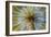 Middle East, Arabian Peninsula, Oman, Ad Dakhiliyah, Nizwa. Palm tree against blue sky in Nizwa-Emily Wilson-Framed Photographic Print