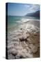 Middle East, Israel, Dead Sea salt on coast and in water-Samuel Magal-Stretched Canvas