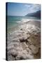 Middle East, Israel, Dead Sea salt on coast and in water-Samuel Magal-Stretched Canvas