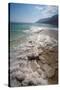 Middle East, Israel, Dead Sea salt on coast and in water-Samuel Magal-Stretched Canvas