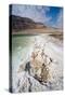 Middle East, Israel, Dead Sea salt on coast and in water-Samuel Magal-Stretched Canvas