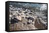 Middle East, Israel, Dead Sea salt on coast and in water-Samuel Magal-Framed Stretched Canvas