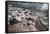 Middle East, Israel, Dead Sea salt on coast and in water-Samuel Magal-Framed Stretched Canvas