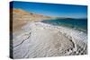 Middle East, Israel, Dead Sea salt on coast and in water-Samuel Magal-Stretched Canvas