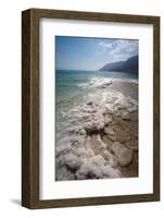 Middle East, Israel, Dead Sea salt on coast and in water-Samuel Magal-Framed Photographic Print