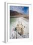 Middle East, Israel, Dead Sea salt on coast and in water-Samuel Magal-Framed Photographic Print