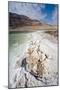 Middle East, Israel, Dead Sea salt on coast and in water-Samuel Magal-Mounted Photographic Print