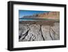 Middle East, Israel, Dead Sea salt on Coast and in Water-Samuel Magal-Framed Photographic Print