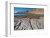 Middle East, Israel, Dead Sea salt on Coast and in Water-Samuel Magal-Framed Photographic Print