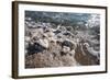 Middle East, Israel, Dead Sea salt on coast and in water-Samuel Magal-Framed Photographic Print