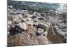 Middle East, Israel, Dead Sea salt on coast and in water-Samuel Magal-Mounted Photographic Print