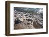 Middle East, Israel, Dead Sea salt on coast and in water-Samuel Magal-Framed Photographic Print