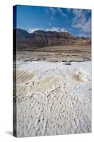 Middle East, Israel, Dead Sea salt on coast-Samuel Magal-Stretched Canvas