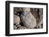 Middle East, Israel, Dead Sea Salt-Samuel Magal-Framed Photographic Print