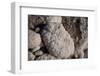 Middle East, Israel, Dead Sea Salt-Samuel Magal-Framed Photographic Print