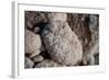 Middle East, Israel, Dead Sea Salt-Samuel Magal-Framed Photographic Print