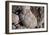 Middle East, Israel, Dead Sea Salt-Samuel Magal-Framed Photographic Print